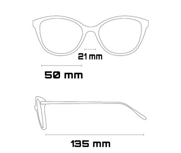Ray-Ban 3447(golden-black)